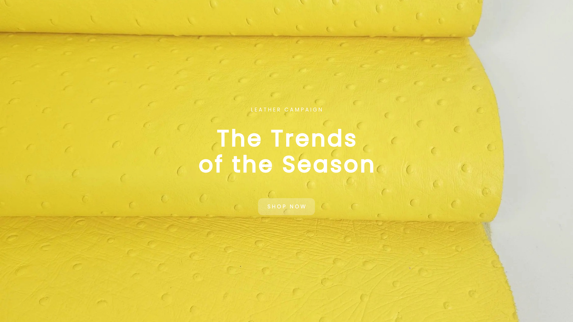 Trends